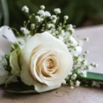 Nicole James Blenheim, NZ Death-Obituary: Gold Coast, AU Community Mourns her passing