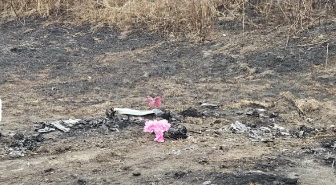 Tessa Walker, Dead, Obituary, Community Mourns High School Senior After Fatal Crash in Kansas City