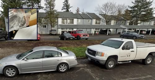 Oregon Man Sues Apartment Complex After Allegedly Finding Dead Mouse in Infant’s Mouth