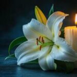 Evan Giudice, Bismarck, ND, Obituary, Death: In Loving Memory