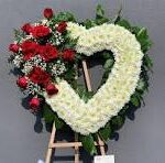 Shane Loxtercamp, Edmonton, AB, Obituary, Death: Has Died