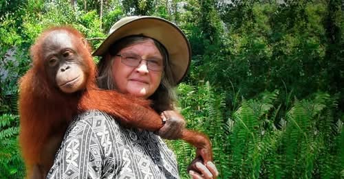 Dr. Birute Galdikas Los Angeles, CA Death-Obituary: Primatologist, Founder of Orangutan Foundation International, Dies At 79