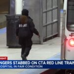 Two Injured in Stabbing on CTA Red Line Train in Chicago
