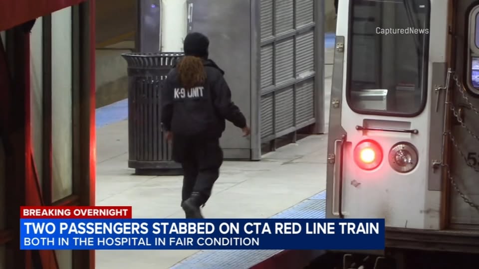 Two Injured in Stabbing on CTA Red Line Train in Chicago