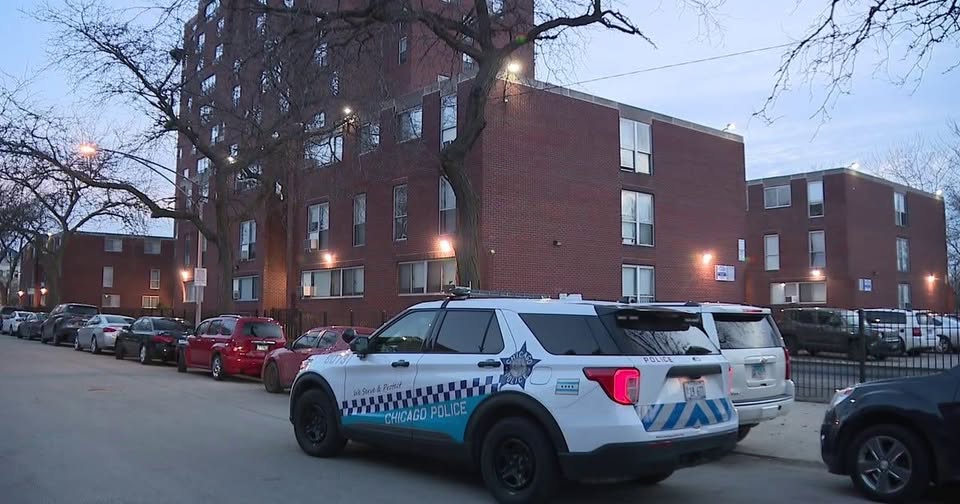 Accident, 4-Year-Old Girl Recovering After Fall from Third-Floor Window in Chicago