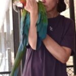 Dr. Carina Joubert Twin Waters, Australia Death: Twin Waters Medical Practice Owner And Lead Doctor Sadly Passed Away